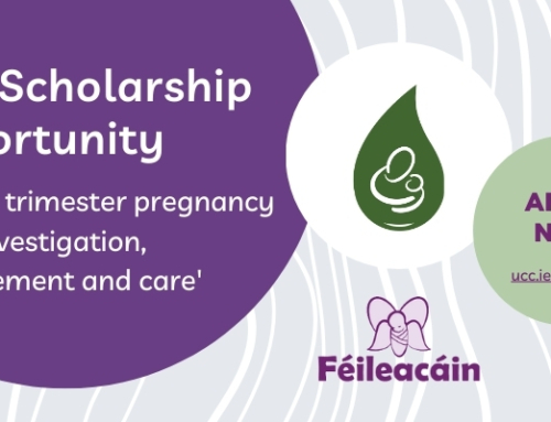 New PhD scholarship opportunity: Second trimester pregnancy loss